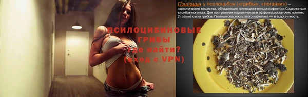 твердый Алексин