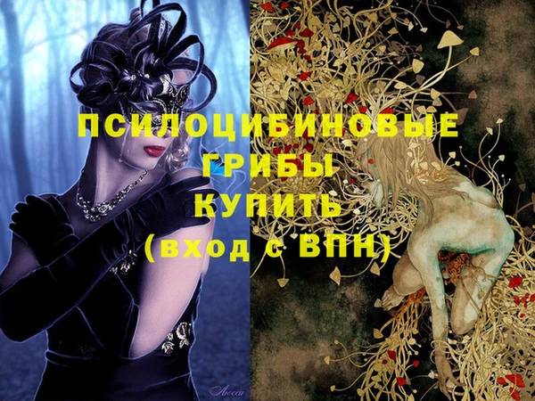 спайс Алзамай