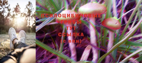 твердый Алексин