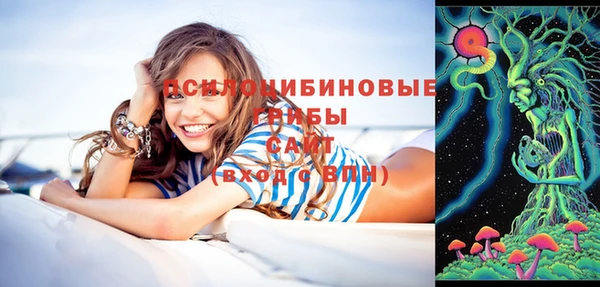 твердый Алексин