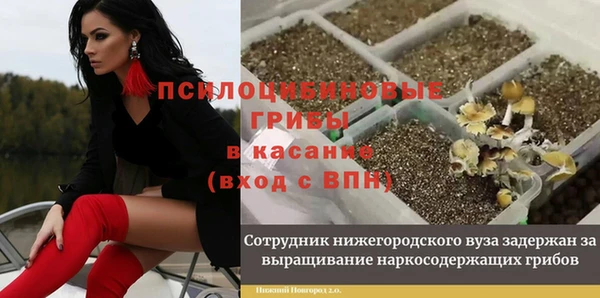 бутират Алексеевка