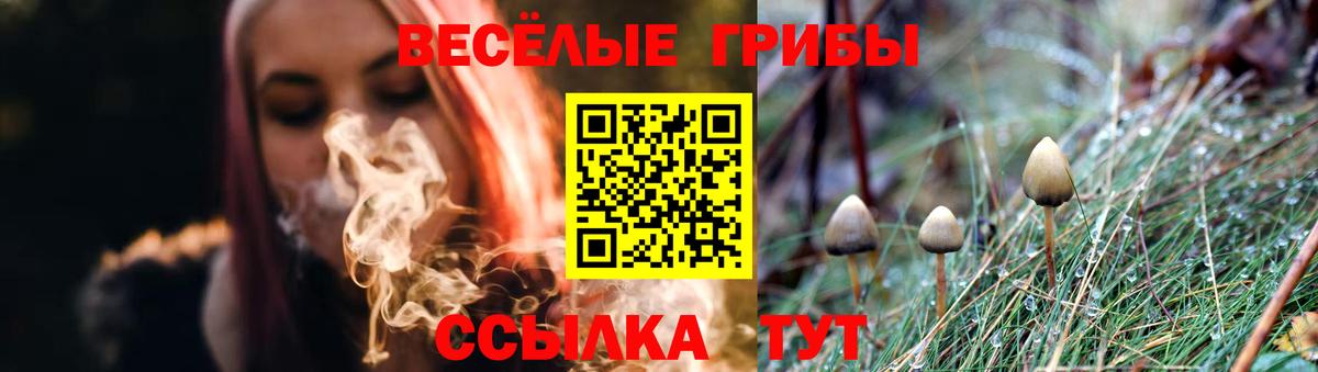МАРИХУАНА Сунжа