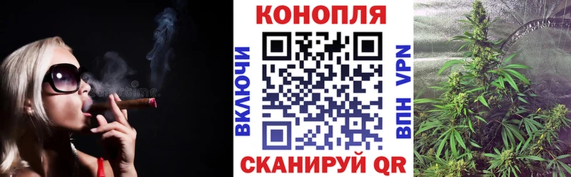 Шишки марихуана гибрид  Сунжа 
